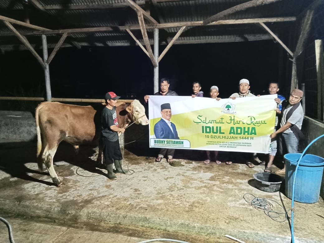 Budhy Setiawan Salurkan Hewan Kurban 20 Ekor Sapi Ke Cianjur dan Kota Bogor