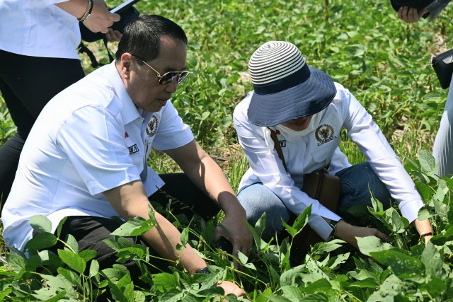 Kurangi Ketergantungan Bahan Kimia, Firman Soebagyo Minta Pemerintah Dukung Penggunaan Pupuk Biosaka