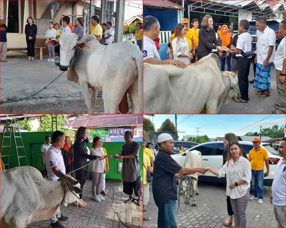 Michaela Elsiana Paruntu dan Suhartin M Mamoto Berikan 4 Ekor Sapi Kurban Untuk Masjid di Minsel