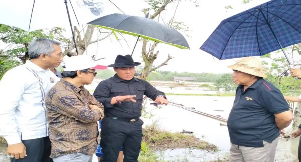 Banjir Rob Rendam Padi Siap Panen di Subak Babakan, Gus Adhi Dorong Bangun Tanggul dan Normalisasi Sungai