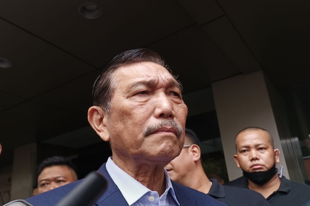 Luhut Ungkap Rencana RI Impor 50 Ribu Ekor Sapi dan 3 Ribu Ton Kedelai Dari Afsel