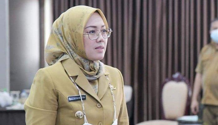 Beda Dengan Jakarta, Anne Ratna Mustika Sebut Kualitas Udara di Purwakarta Baik