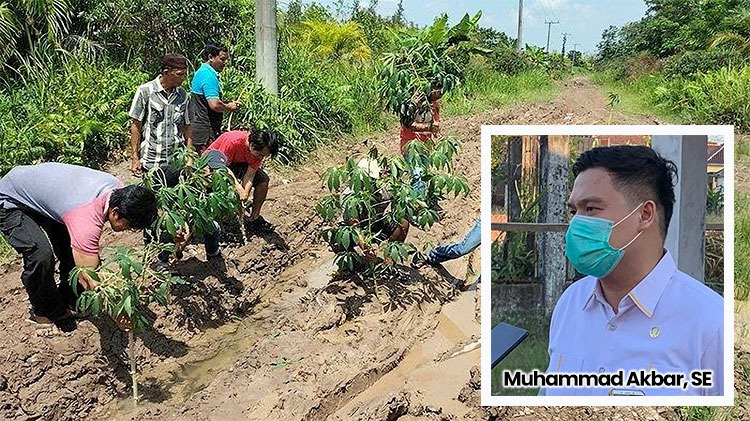 Jalan Rusak di Mesuji Ditanami Singkong, Fraksi Golkar: Masyarakat Lebih Kreatif Daripada Pemerintah