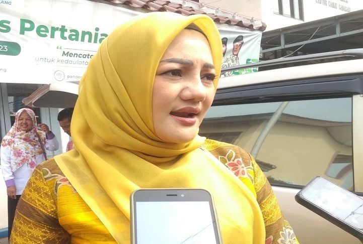 Ini Solusi Adde Rosi Khoerunnisa Cegah Maraknya Kekerasan Perempuan dan Anak di Pandeglang