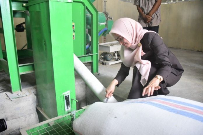 Hindari Kerugian, Bupati Indah Putri Indriani Ingatkan Petani Luwu Jangan Transaksi Jual Beli di Sore Hari