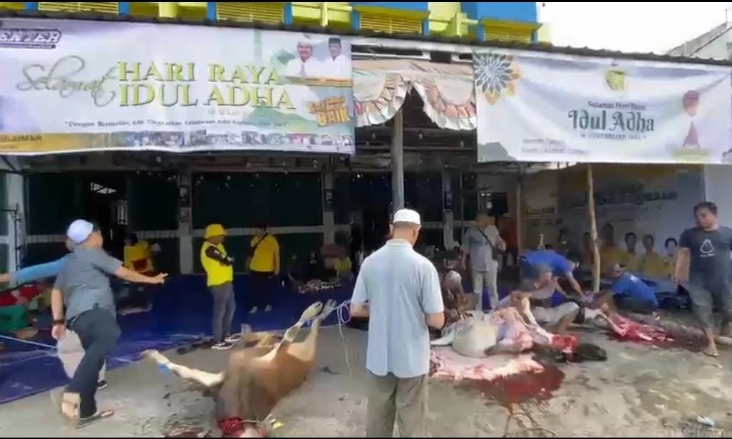 Partai Golkar Banjarmasin Sembelih 20 Ekor Hewan Kurban di Idul Adha 1444 H