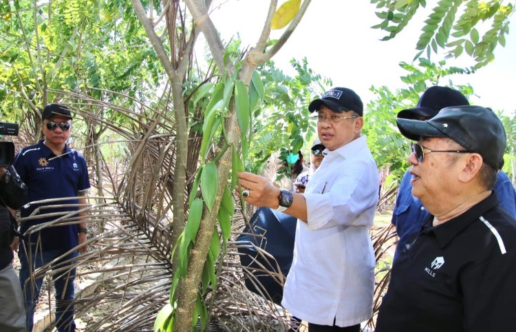 Sambangi Tanjung Lesung, Bamsoet Dukung Perkebunan dan Pembibitan Vanili Terbesar di Dunia