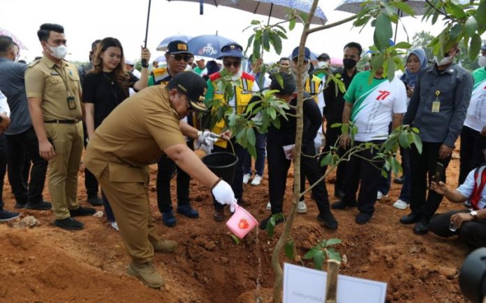 Gubernur Arinal Djunaidi Tanam 1.770 Bibit Pohon di Bendungan Margatiga Lampung Timur