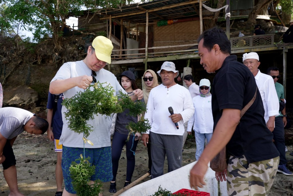 Genjot Perekonomian Daerah, Airlangga Hartarto Dorong Budidaya Rumput Laut