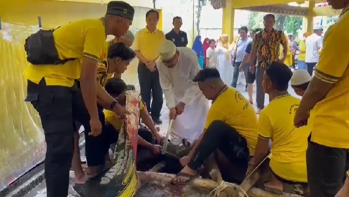 Idul Adha 1444 H, Partai Golkar Kalsel Bagikan 2.200 Bungkus Daging Sapi Kurban Ke Warga