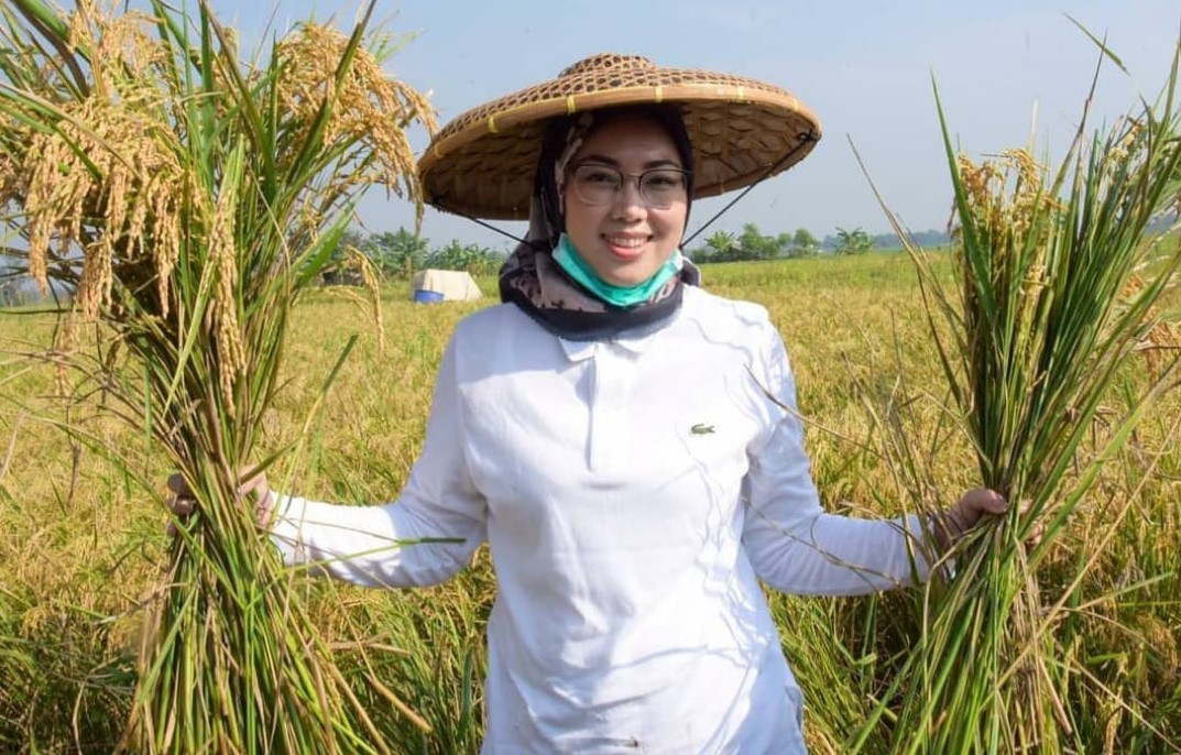 Anne Ratna Mustika Panen Raya Beras di Purwakarta, Jumlahnya Ratusan Ribu Ton