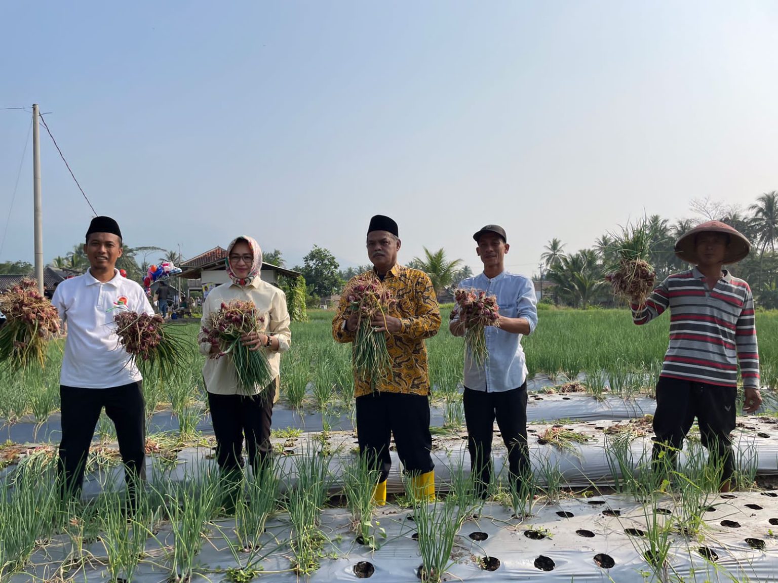 Panen Bawang Merah Bersama Petani Pandeglang, Airin Rachmi Diany Janji Benahi Tata Kelola Pertanian