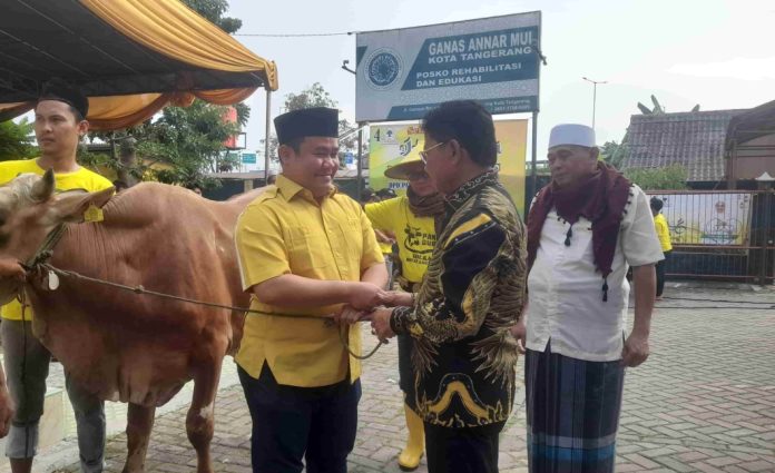 Sembelih 114 Hewan Kurban, Partai Golkar Kota Tangerang Bagikan Daging Untuk Masyarakat di 13 Kecamatan