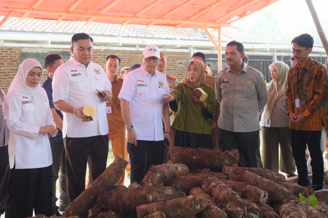 Cegah Krisis Pangan, Firman Soebagyo Minta Pemerintah Bantu Pembudidaya Talas Beneng