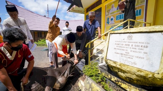 Taufan Pawe Sembelih 4 Ekor Hewan Kurban Partai Golkar Parepare