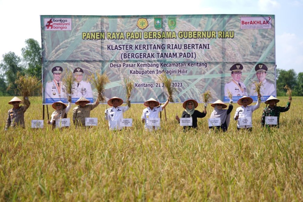 Lumbung Pangan, Gubri Syamsuar Janji Bantu Tingkatkan Produktivitas Padi di Inhil