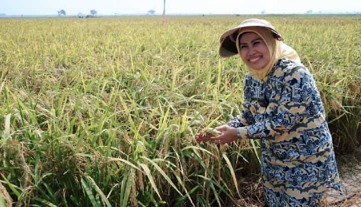 Berprestasi di Bidang Pertanian, Ratu Tatu Chasanah Raih Penghargaan Satyalencana Wira Karya