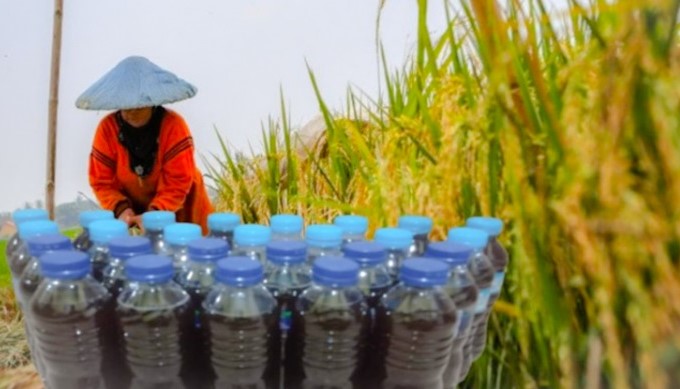 Firman Soebagyo Ajak Petani Gunakan Elisitor Biosaka Tingkatkan Produktivitas Pertanian